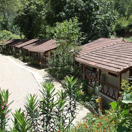 Готель Eco Family Park Beskonak Екстер'єр фото