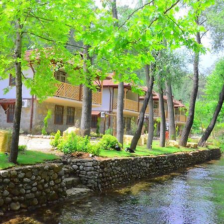 Готель Eco Family Park Beskonak Екстер'єр фото