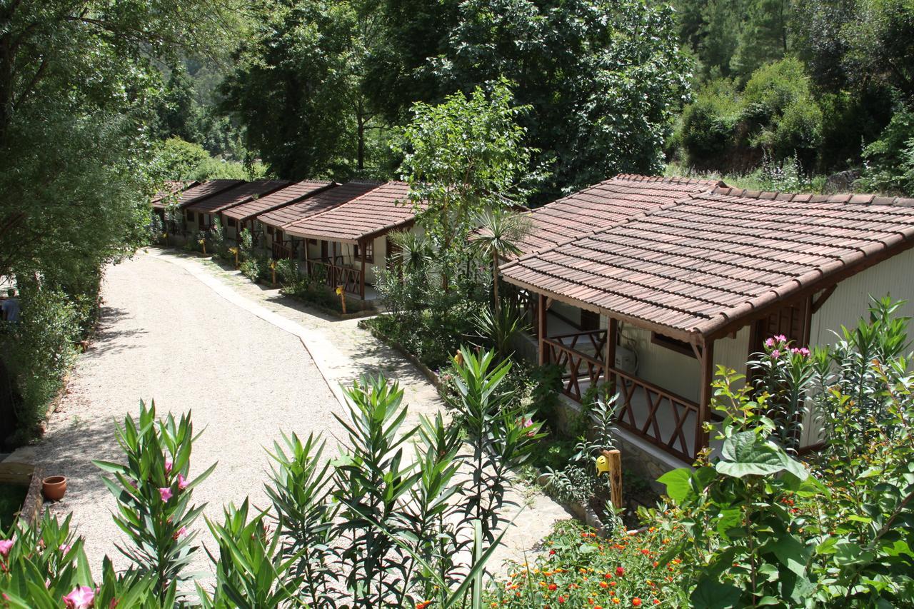 Готель Eco Family Park Beskonak Екстер'єр фото