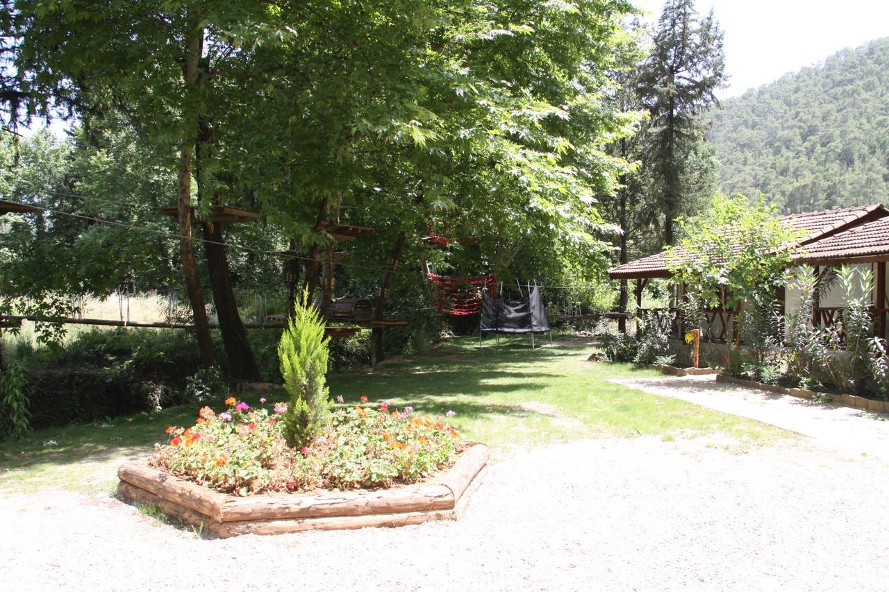 Готель Eco Family Park Beskonak Екстер'єр фото