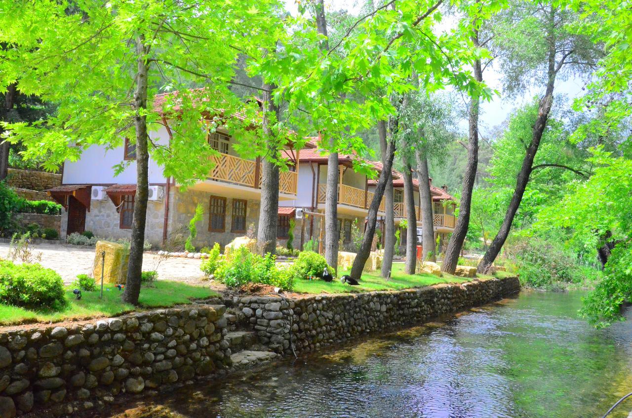 Готель Eco Family Park Beskonak Екстер'єр фото